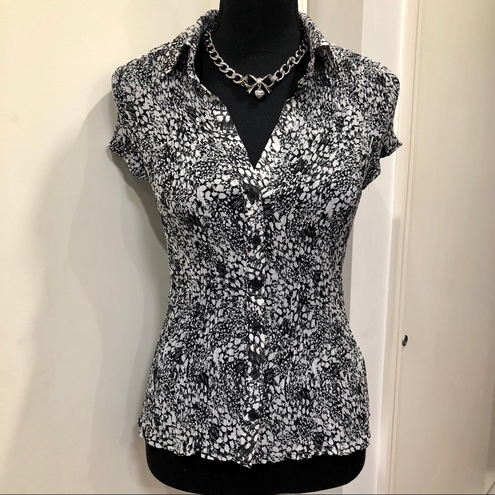 Pleated Blouse